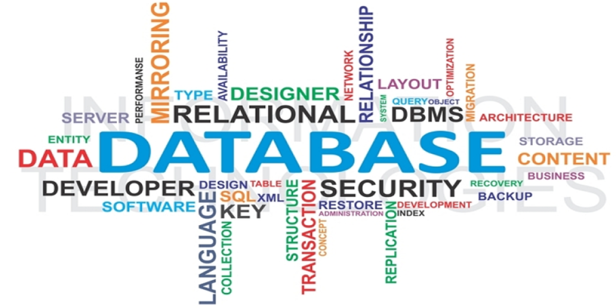 Database SQL RDBMS SQL Server ORACLE